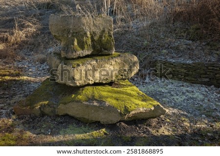 Similar – Image, Stock Photo When the frost touches Berlin
