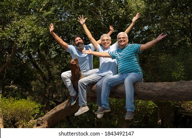 Three laughing senior friend relaxing at the park - Powered by Shutterstock