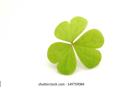 Three leaf