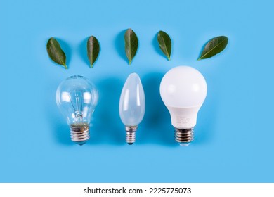 Three light bulbs with fresh green leaves on a blue background. Energy conservation, ecology and sustainable conservation of environmental resources. 