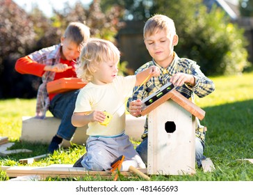 Three Little Boys Brothers Building Birdhouse Outdoors