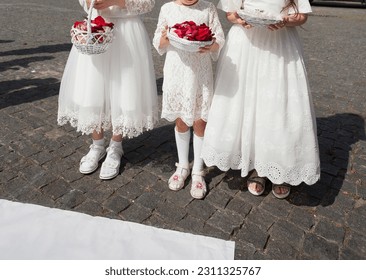 Three little girls in white dresses are holding baskets with rose petals for the wedding ceremony. Creative image for your design or illustrations. - Shutterstock ID 2311325767