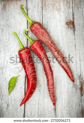 Three long, red Elephant Pepper chilies (Capsicum annuum) with textured, corked skin and green stems lie on a weathered wooden surface. The rustic background emphasizes freshness and natural food styling.