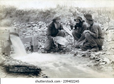 Three Men, With Dog, Panning For Gold In A Stream In The Black Hills Of South Dakota In 1889. Old Timers, Spriggs, Lamb And Dillon May Be Die Hard Survivors From The Gold Rush Of 1876.