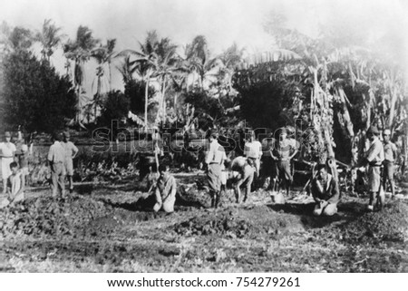 Three men kneel before their open graves on Guam in 1941. Behind them are Japanese soldiers about to decapitate them with swords. Photo was made shortly after the seizure of Guam by the Japanese. Phot
