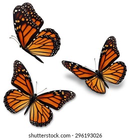 Three monarch butterfly, isolated on white background  - Shutterstock ID 296193026