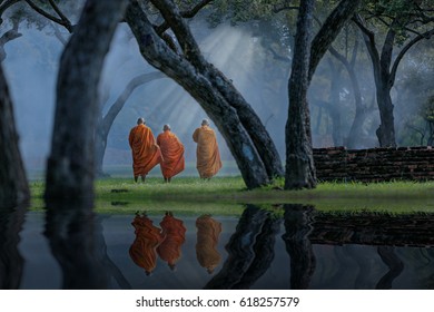 Three monks walking in the park meditating under a tree at Ayutthaya,buddhist temple in Thailand 