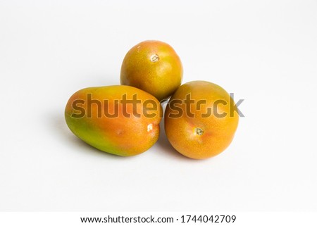 Three oblong tomatoes with the white background