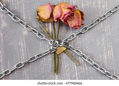 Three old chained roses symbolize endless love