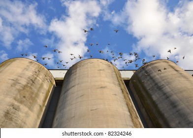 Three old silos with doves in flight.