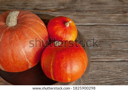 Three orange pumpkins on a rustic wooden background. Top view