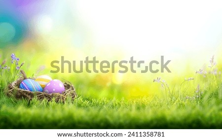 Three painted easter eggs in a birds nest celebrating a Happy Easter on a spring day with a green grass meadow and blurred grass foreground and bright sunlight background with copy space.