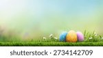 Three painted easter eggs celebrating a Happy Easter on a spring day with a green grass meadow, bright sunlight and a fresh spring background with copy space.