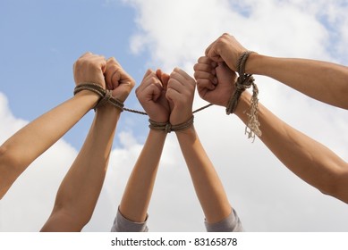 Three Pairs Of Human Hands Tied Up Together