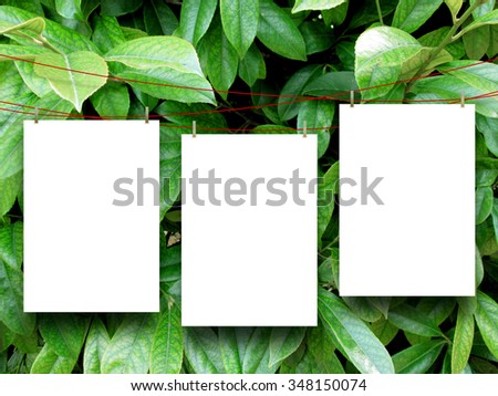Three paper sheet frames hung by clothes pin on green leaves background 
