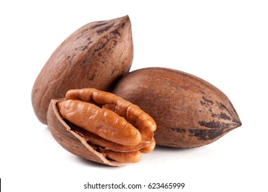 Three pecan nuts isolated on white background