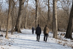 Three People, Including Two With Walking Sticks, On The Des Plaines River Trail At Camp Ground Road Woods In Des Plaines, Illinois