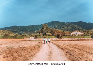 three people walking down the rye field towards a mountain under the blue sky