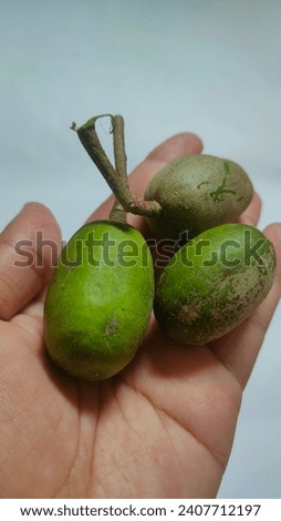 three pieces kedondong or ambarella which is being held by someone with characteristic crusty green skin against a white background