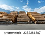 Three Piles of wood logs, stack of raw timber in sawmill yard frontal view with backlight and blue sky