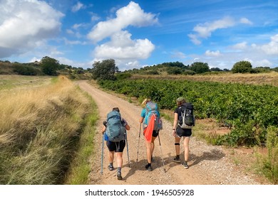 Three Pilgrim Women Walking the Way of St James Pilgrimage Trail Camino de Santiago through Picturesque Landscapes of La Rioja