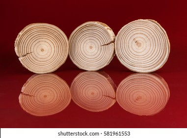 Three pine saw cuts are standing on ribs on glossy surface their reflections on red background.