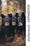 Three playful and curious black bear cubs captured in a striking close up portrait their mischievous expressions framed by a soft warm toned bokeh backdrop with a vintage 