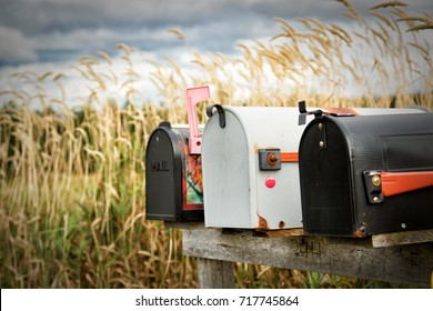 Three postal boxes in a at the edge of a field