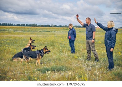 Three professional dog trainers teaching German Shepherd dogs outdoors with cloudy sky on background - Powered by Shutterstock
