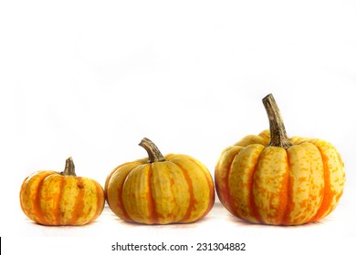 Three Pumpkins Ranging In Size Small, Medium And Large.