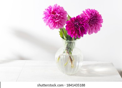52,329 Purple dahlias Images, Stock Photos & Vectors | Shutterstock