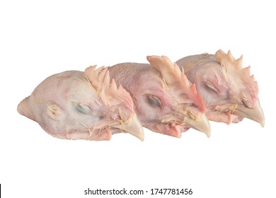 Three raw chicken heads isolated on a white background.