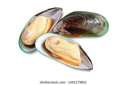 Three raw New Zealand mussels on shell isolated on white background