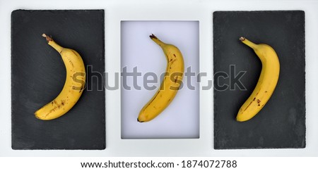 Three real yellow bananas in a row a white box picture frame. One with white background, two on black grey slate. Simple modern contemporary minimalist design From a above flat lay close up