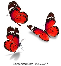 Beautiful Three Red Monarch Butterfly Isolated Stock Photo 368626844 ...