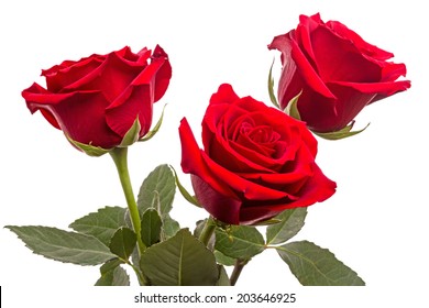 Three Red Roses Isolated On White Background