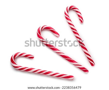 Three red and white striped candy canes for christmas holiday season, sweet treats and festive decorations, they represent festive decorations and delicious confectionery for winter celebrations
