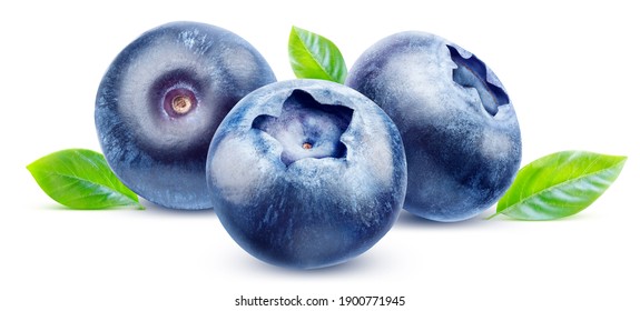 Three ripe blueberries with leaves isolated on white background with clipping path.