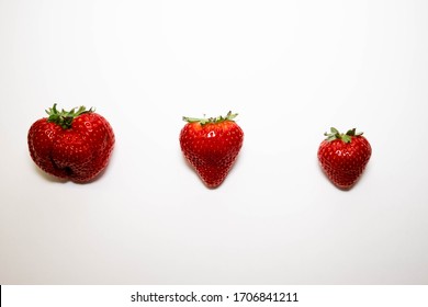 Three ripe, juicy strawberries located isolated horizontally in a row. Strawberries on a white background. Strawberries in size from large to small.