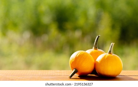 
Three Ripe Mini Pumpkins On A Wooden Table Outside.