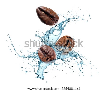 Three roasted coffee beans in blue water splash on white background