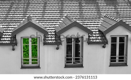 three roof windows black and white with green plant reflection on the glass ストックフォト © 
