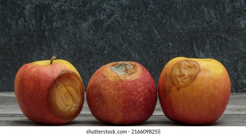 Three rotten apples with mold on a dark background