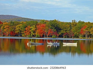 Three Row Boats on a lake in the fall with reflections at Bear Mountain NY, USA with seagulls,birds.    - Powered by Shutterstock