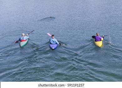 Three Rowers With Canoe Recreate In A Lake