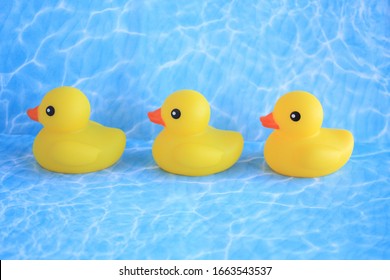 Three Rubber Ducks In A Row On Water Background,