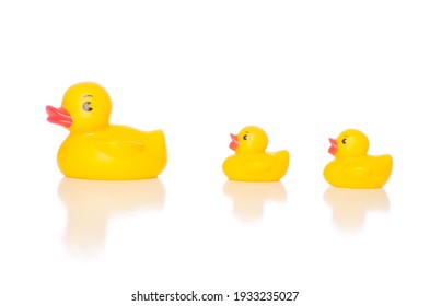 11,689 3 ducks Images, Stock Photos & Vectors | Shutterstock