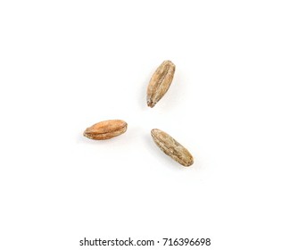 Three Rye Grain Kernels On A White Background