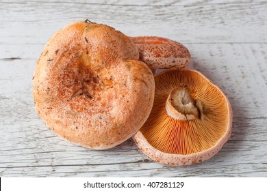 Lactarius Deliciosus High Res Stock Images Shutterstock