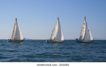 Three Sailboats In A Sailing Race.